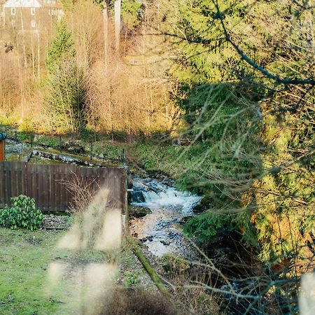 Ferienwohnung Fichte Braunlage Dış mekan fotoğraf